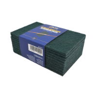 Arctic Hayes Abrasive Scouring Pads 10pk