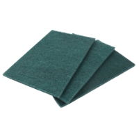 Arctic Hayes Abrasive Scouring Pads 10pk